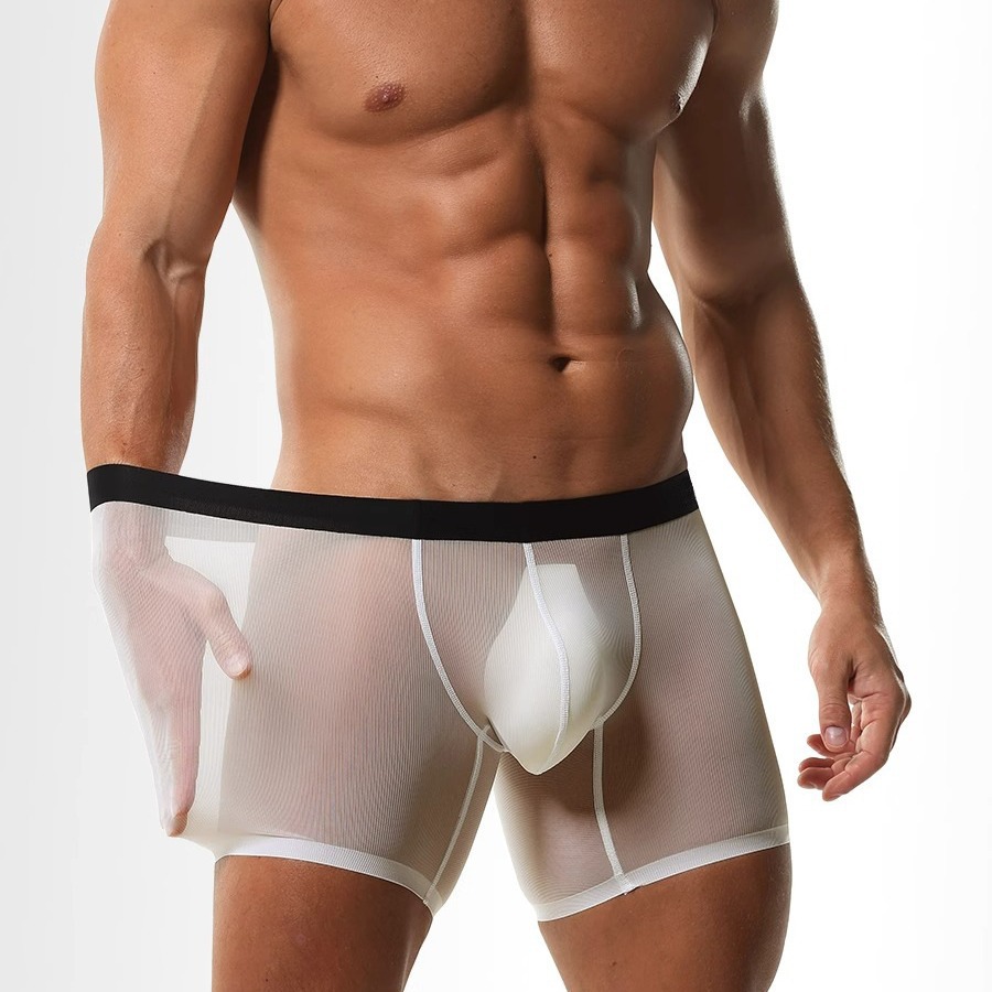 IJzijde Sheer Mesh Lange Boxer - Long Leg Trunk Men recensie en prijs